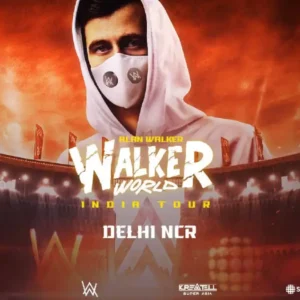 Alan Walker Live Delhi NCR